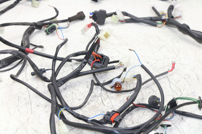 photo de WIRE HARNESS APRILIA ATLANTIC S 125 (2010 - 2013)