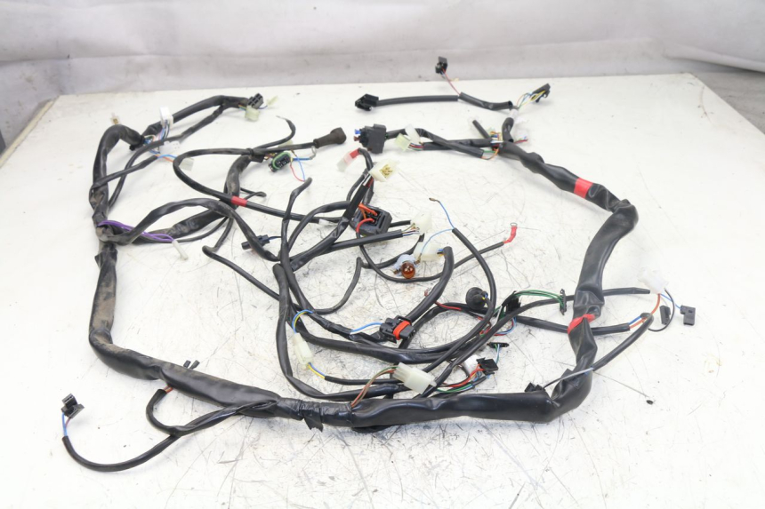 photo de WIRE HARNESS APRILIA ATLANTIC S 125 (2010 - 2013)