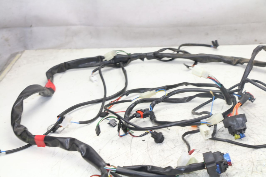 photo de WIRE HARNESS APRILIA ATLANTIC S 125 (2010 - 2013)