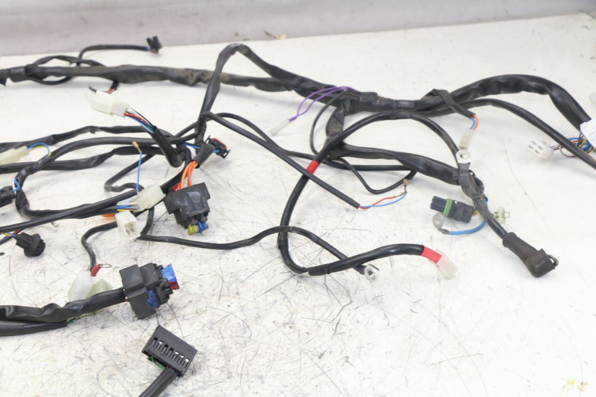 photo de WIRE HARNESS APRILIA ATLANTIC S 125 (2010 - 2013)