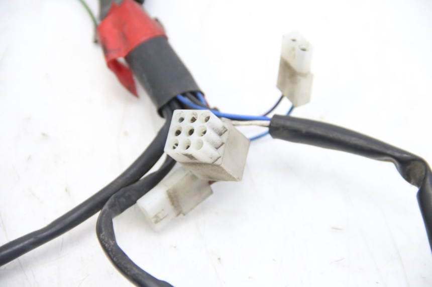 photo de WIRING HARNESS APRILIA SCARABEO 4T 50 (2009 - 2017)