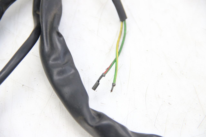photo de WIRING HARNESS APRILIA SCARABEO 4T 50 (2009 - 2017)