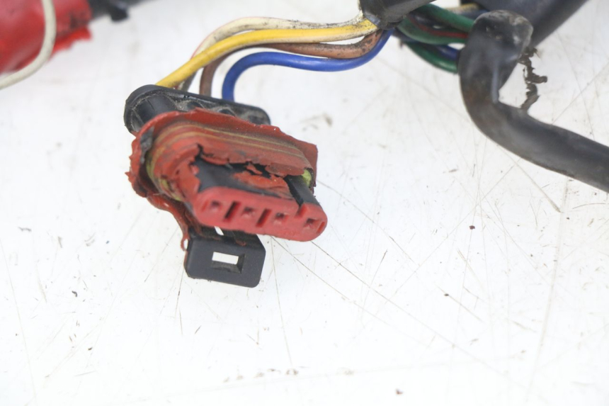 photo de WIRING HARNESS APRILIA SCARABEO 100 (2003 - 2012)