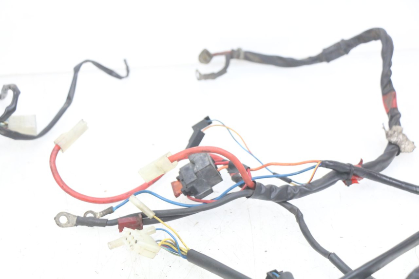 photo de WIRING HARNESS APRILIA SCARABEO 100 (2003 - 2012)