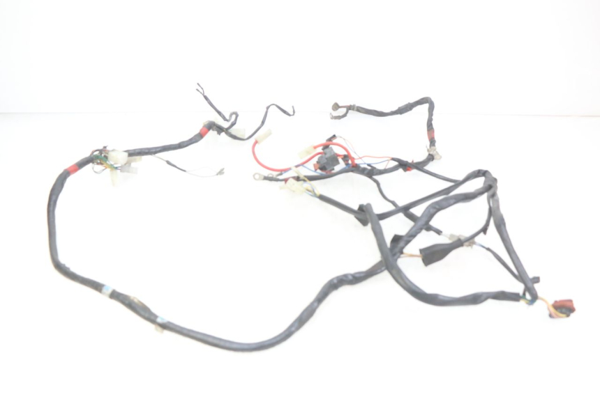 photo de WIRING HARNESS APRILIA SCARABEO 100 (2003 - 2012)