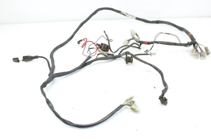 photo de WIRING HARNESS APRILIA SCARABEO 100 (2003 - 2012)