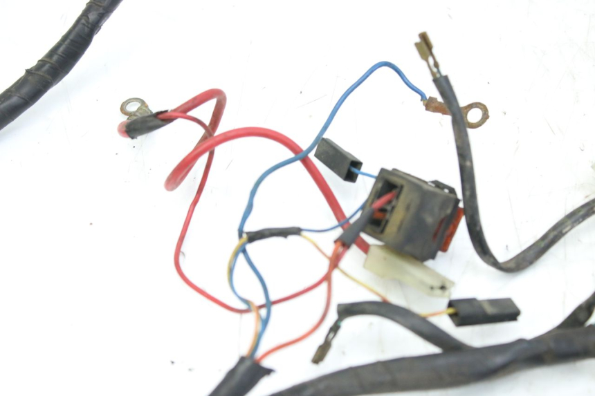 photo de WIRING HARNESS APRILIA SCARABEO 100 (2003 - 2012)