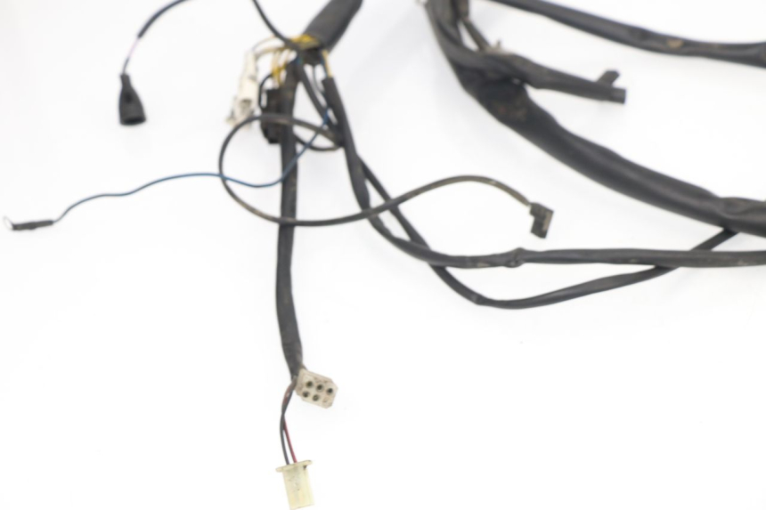 photo de WIRE HARNESS APRILIA SCARABEO GT 125 (1999 - 2007)