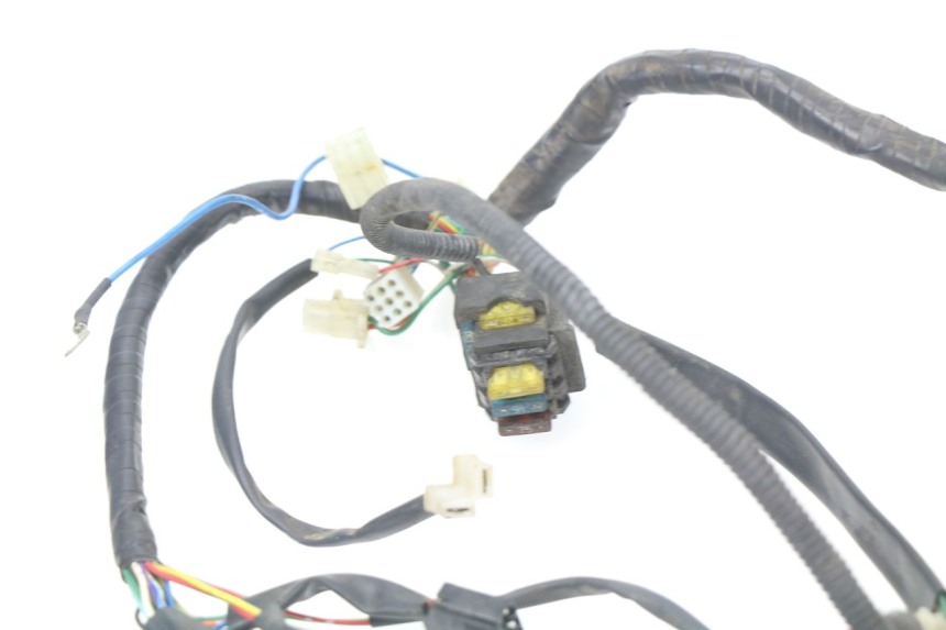 photo de WIRE HARNESS APRILIA SCARABEO GT 125 (1999 - 2007)