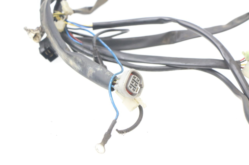 photo de WIRE HARNESS APRILIA SCARABEO GT 125 (1999 - 2007)