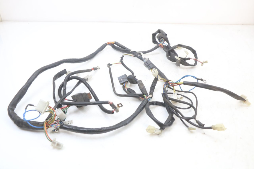 photo de WIRE HARNESS APRILIA SCARABEO GT 125 (1999 - 2007)