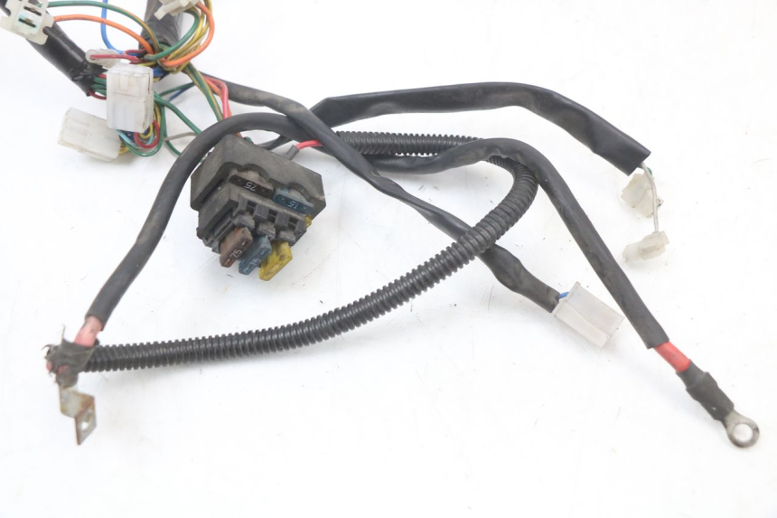 photo de WIRE HARNESS APRILIA SCARABEO GT 125 (1999 - 2007)