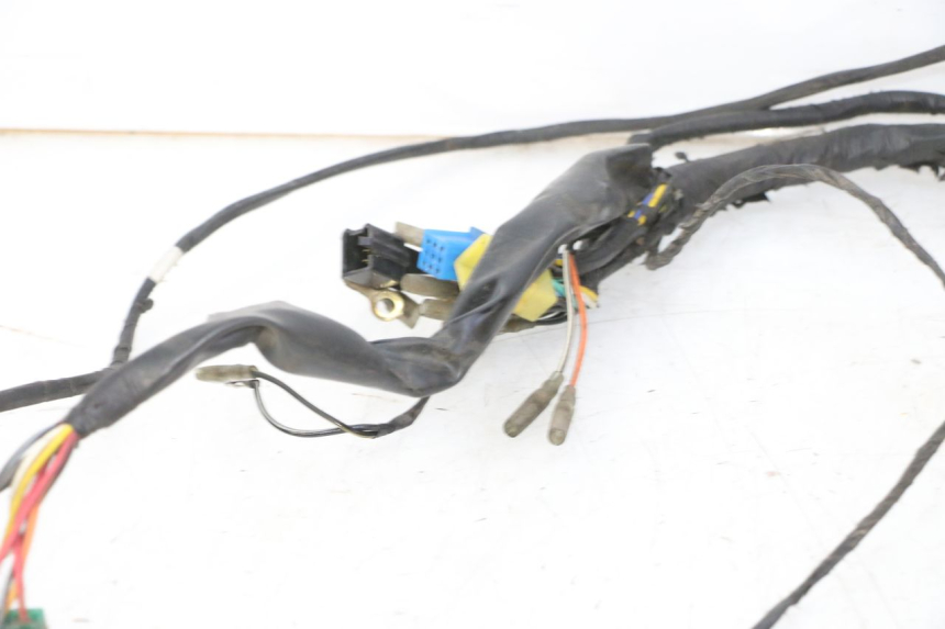 photo de Wiring harness HYOSUNG GV AQUILA 125 (2000 - 2004)