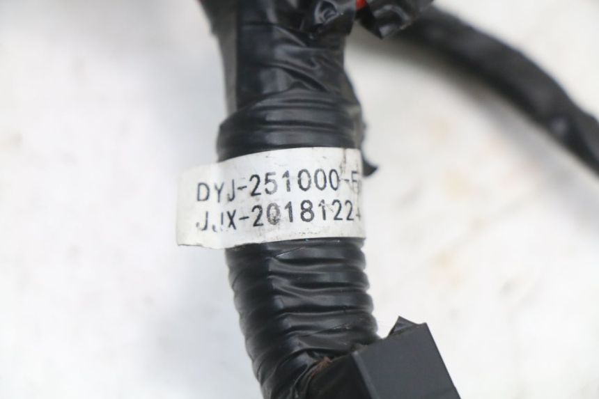 photo de WIRE HARNESS ARCHIVE CAFE RACER 4T 50 (2019 - 2024)