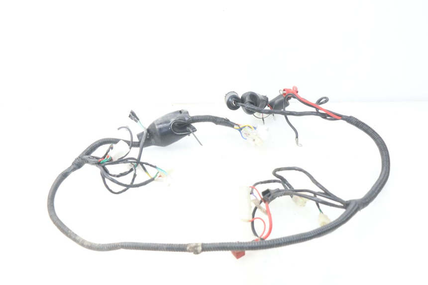 photo de WIRE HARNESS BAOTIAN TRAVEL SPIRIT 50 (2010 - 2012)