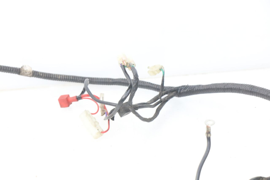 photo de WIRE HARNESS BAOTIAN TRAVEL SPIRIT 50 (2010 - 2012)