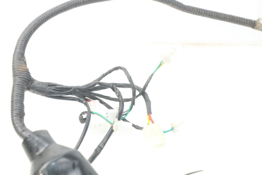 photo de WIRE HARNESS BAOTIAN TRAVEL SPIRIT 50 (2010 - 2012)