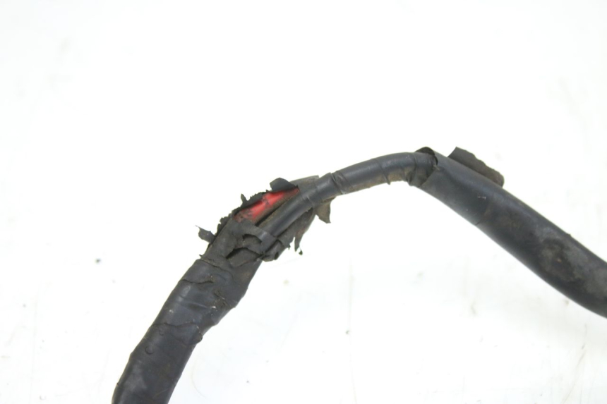 photo de BATTERY WIRING HARNESS APRILIA SCARABEO 100 (2003 - 2012)