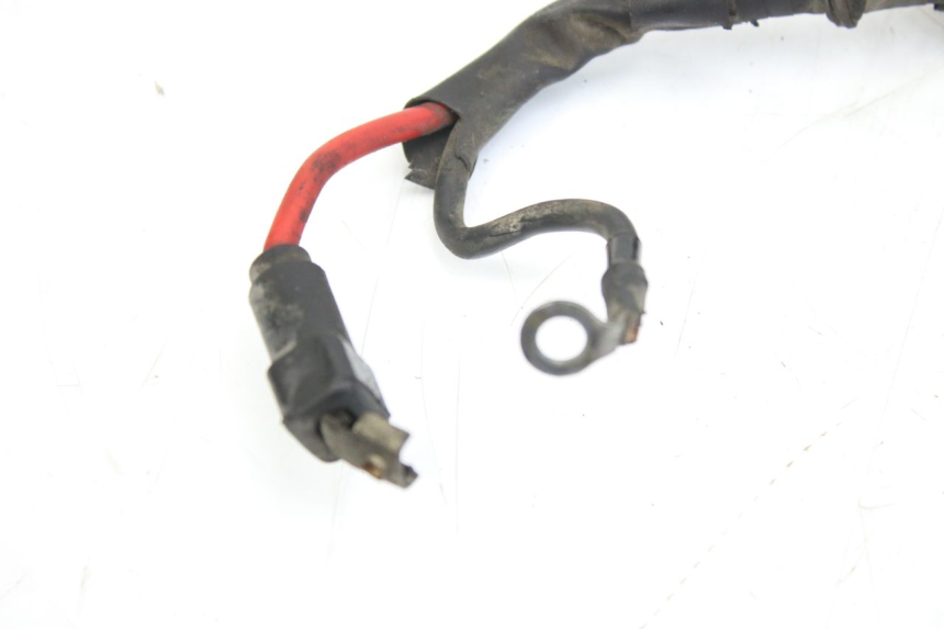 photo de BATTERY WIRING HARNESS APRILIA SCARABEO 100 (2003 - 2012)