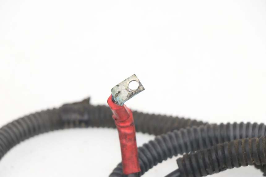 photo de BATTERY WIRE HARNESS GILERA GP 800 (2007 - 2013)