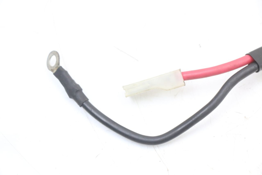 photo de BATTERY WIRE HARNESS GILERA RUNNER SP 50 (2009 - 2017)