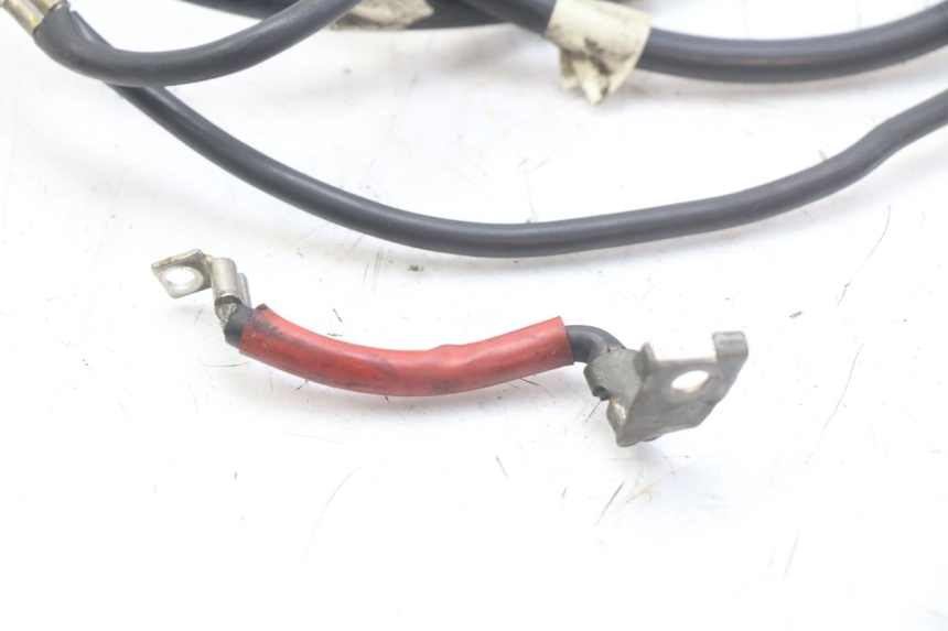 photo de BATTERY WIRE HARNESS HONDA FES PANTHEON 2T 125 (1998 - 2002)