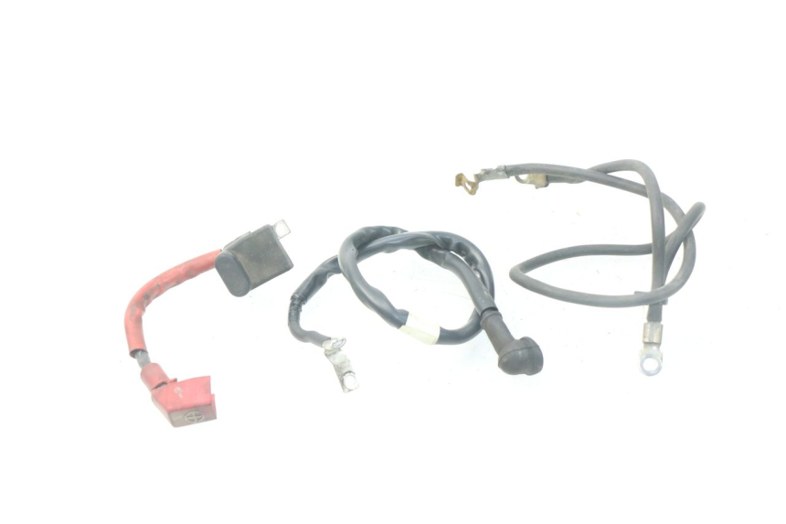 photo de BATTERY WIRE HARNESS HONDA SES DYLAN 125 (2002 - 2006)