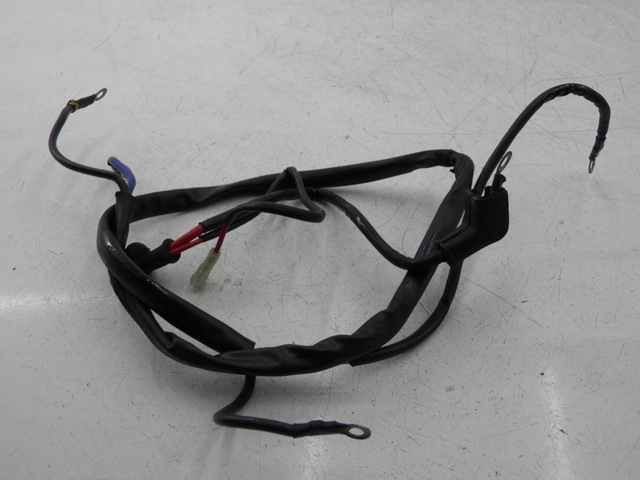 photo de BATTERY WIRE HARNESS LML DLX 2T 125 (2008)