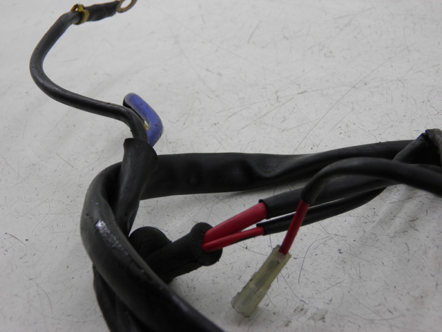 photo de BATTERY WIRE HARNESS LML DLX 2T 125 (2008)