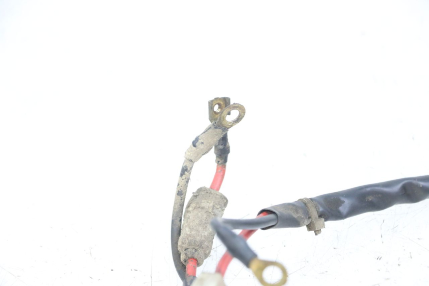 photo de BATTERY WIRING HARNESS PIAGGIO TYPHOON 80 (1994 - 1997)