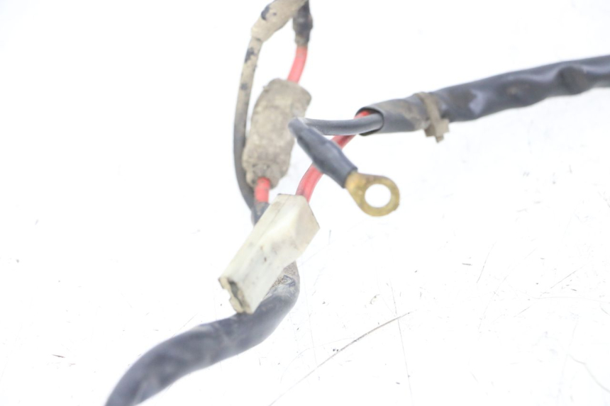 photo de BATTERY WIRING HARNESS PIAGGIO TYPHOON 80 (1994 - 1997)