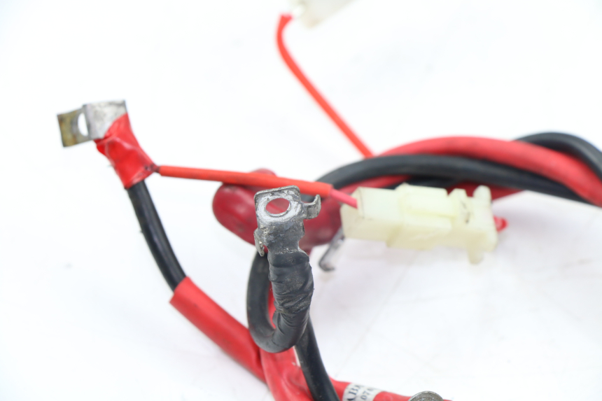 photo de BATTERY WIRE HARNESS SYM FIDDLE 2 125 (2010 - 2013)