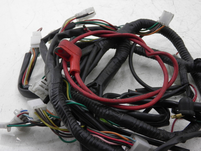 photo de WIRE HARNESS BENZHOU YY50QT31 VINTAGE 50 (2009 - 2012)
