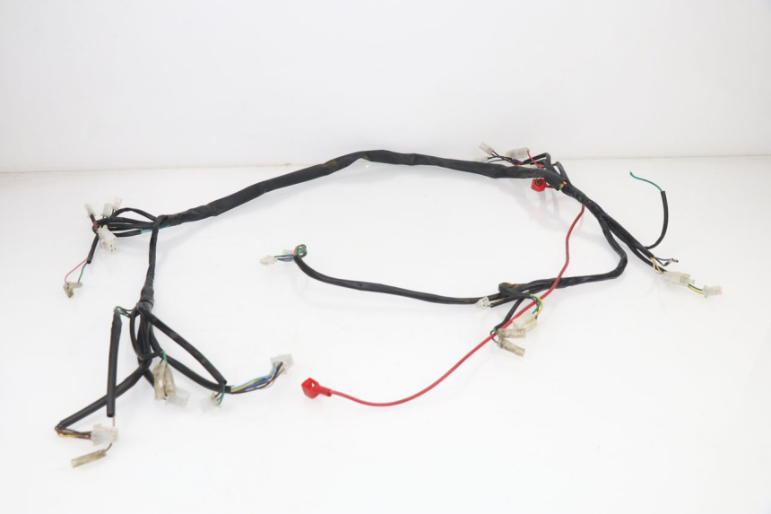 photo de WIRE HARNESS BHM REVENGER 50 (2009 - 2015)