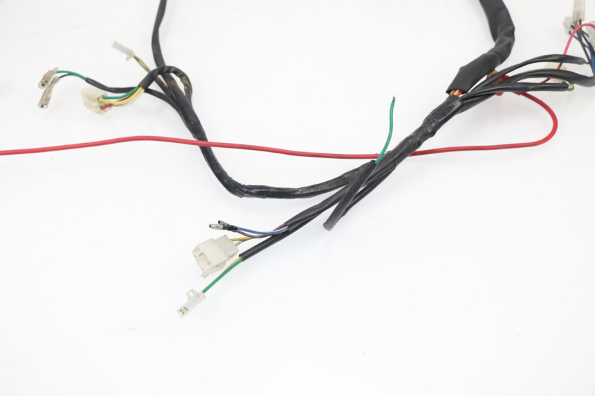 photo de WIRE HARNESS BHM REVENGER 50 (2009 - 2015)