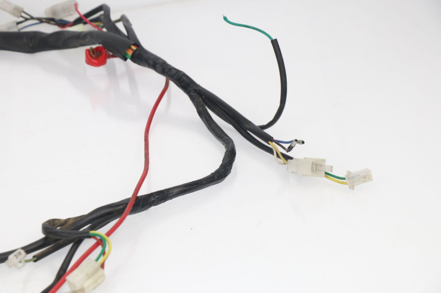 photo de WIRE HARNESS BHM REVENGER 50 (2009 - 2015)