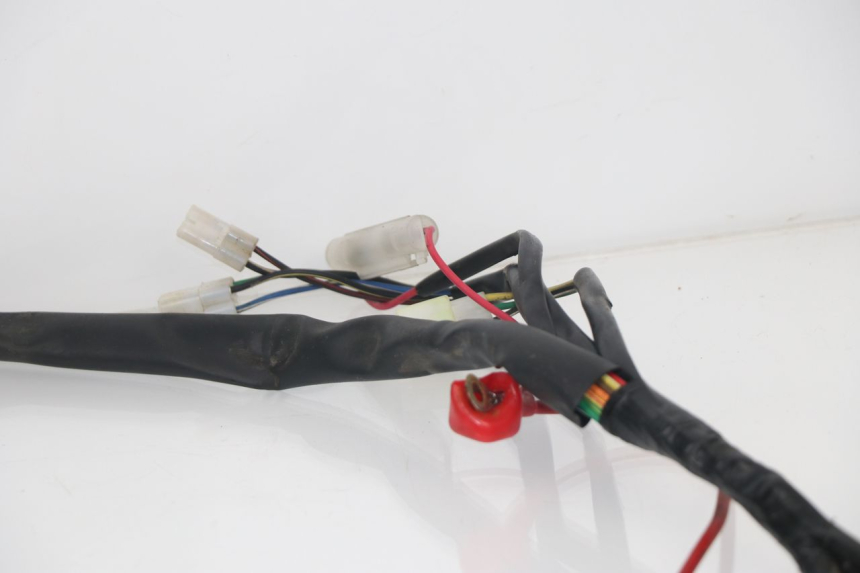 photo de WIRE HARNESS BHM REVENGER 50 (2009 - 2015)