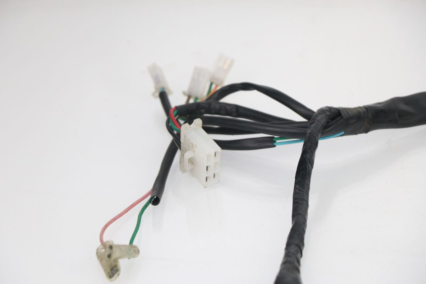 photo de WIRE HARNESS BHM REVENGER 50 (2009 - 2015)