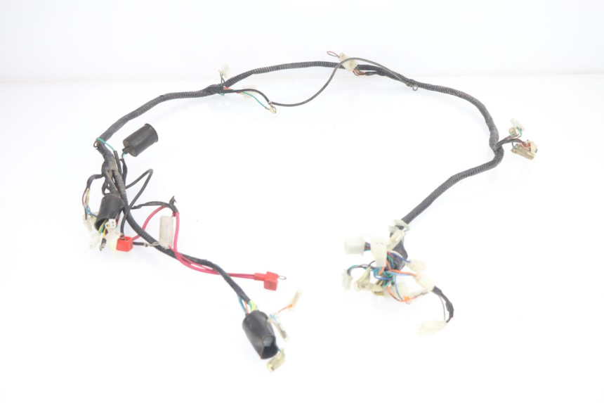 photo de WIRE HARNESS BHM WACO 4T 50 (2008 - 2015)