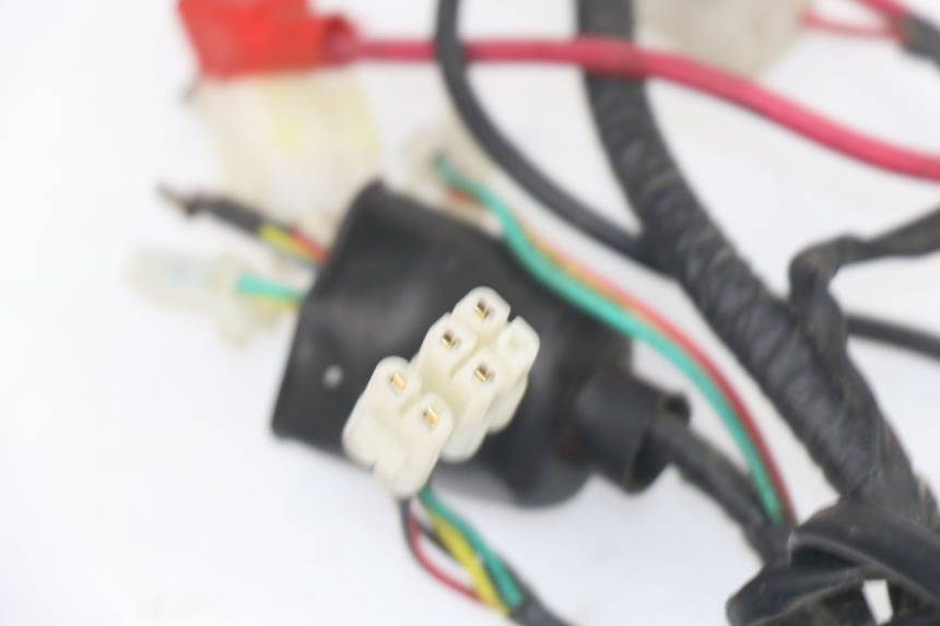 photo de WIRE HARNESS BHM WACO 4T 50 (2008 - 2015)