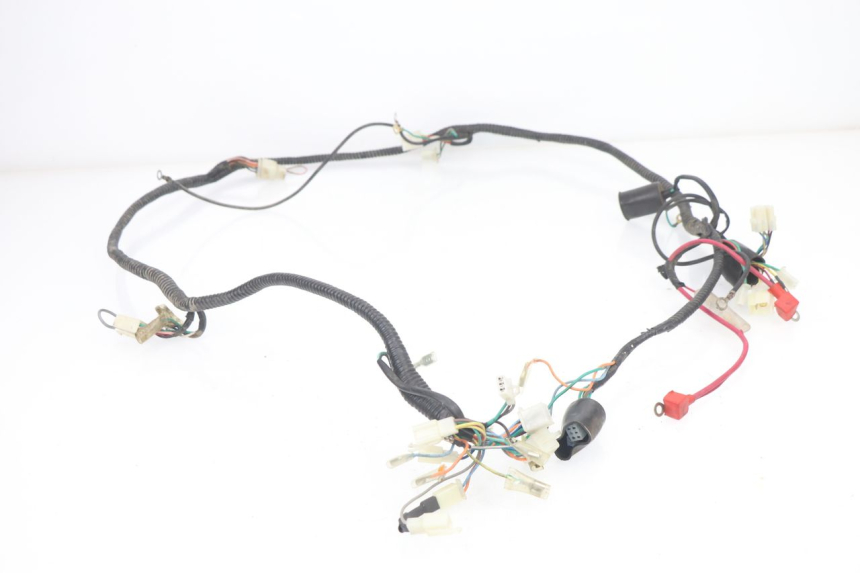 photo de WIRE HARNESS BHM WACO 4T 50 (2008 - 2015)