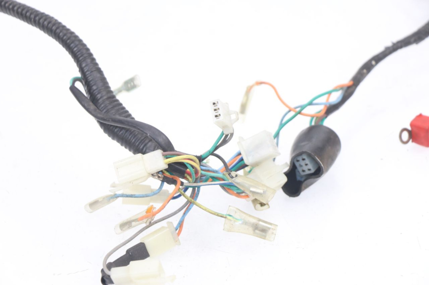 photo de WIRE HARNESS BHM WACO 4T 50 (2008 - 2015)