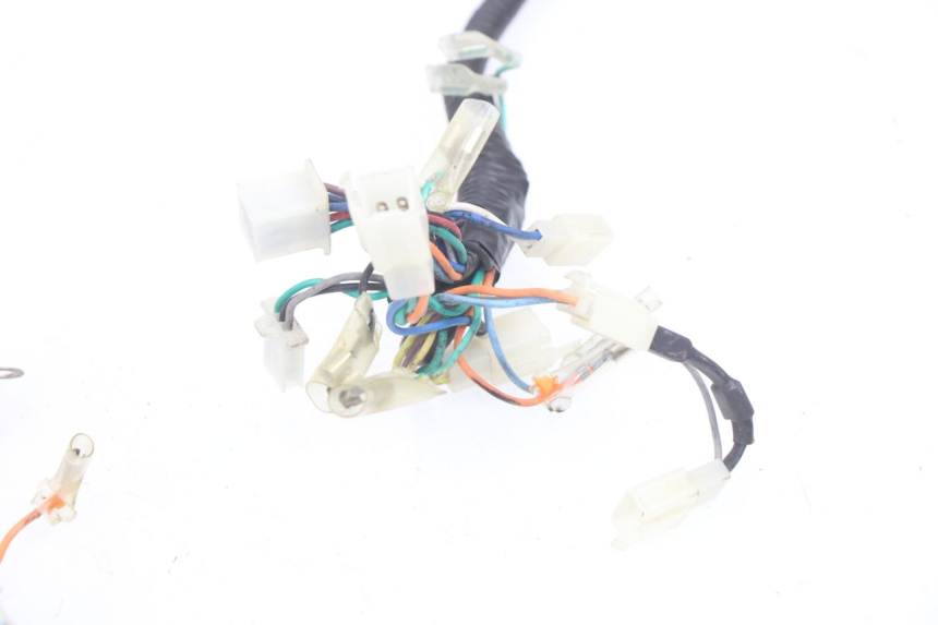 photo de WIRE HARNESS BHM WACO 4T 50 (2008 - 2015)