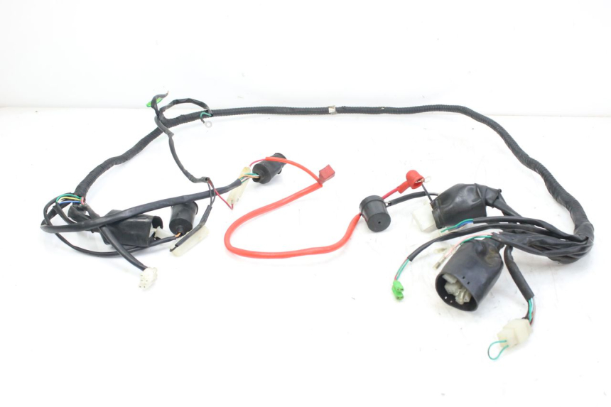 photo de WIRING HARNESS WILDLANDER BISCUIT 125 (2004 - 2010)