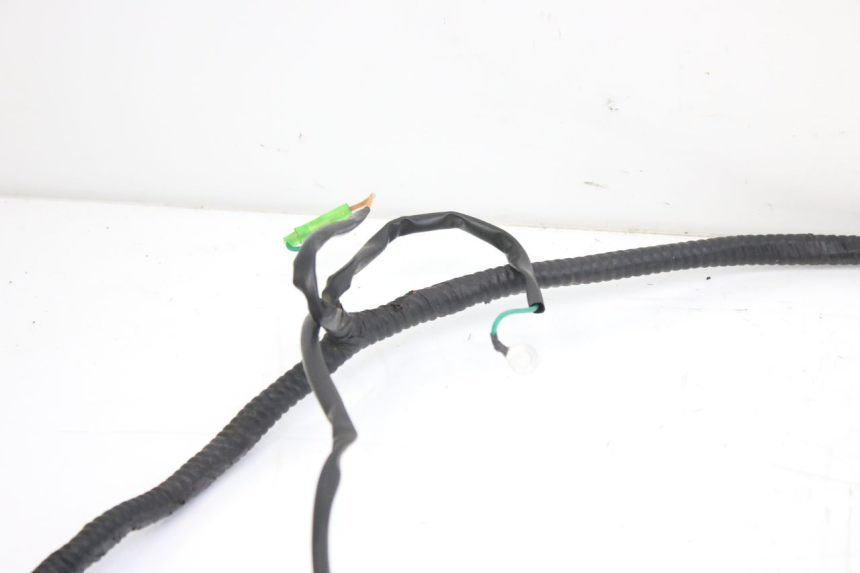 photo de WIRING HARNESS WILDLANDER BISCUIT 125 (2004 - 2010)