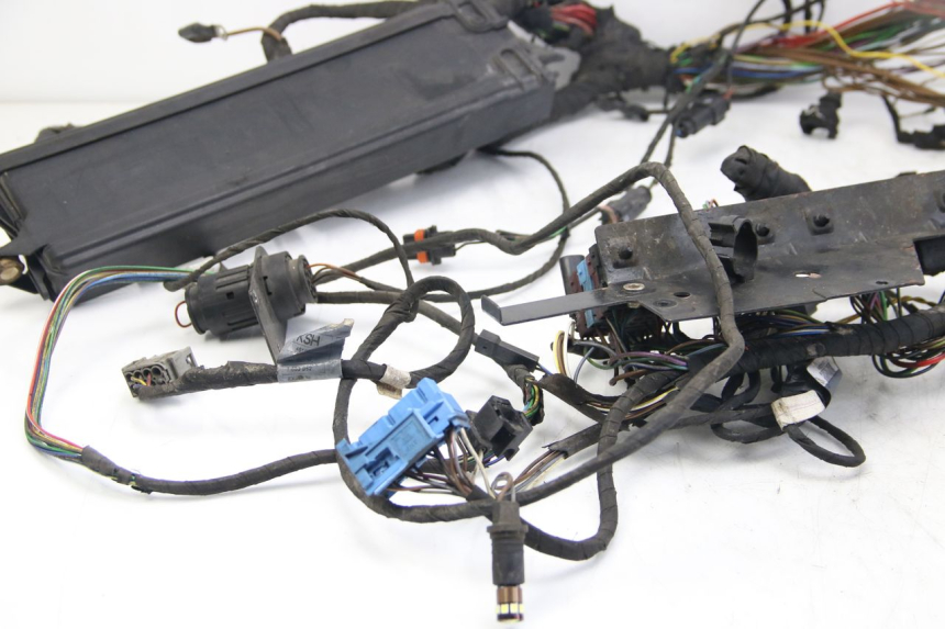 photo de WIRING HARNESS BMW C1 125 (2000 - 2003)