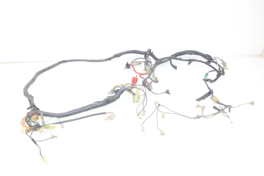 photo de WIRING HARNESS MBK BOOSTER NEXT GENERATION 50 (1995 - 1998)