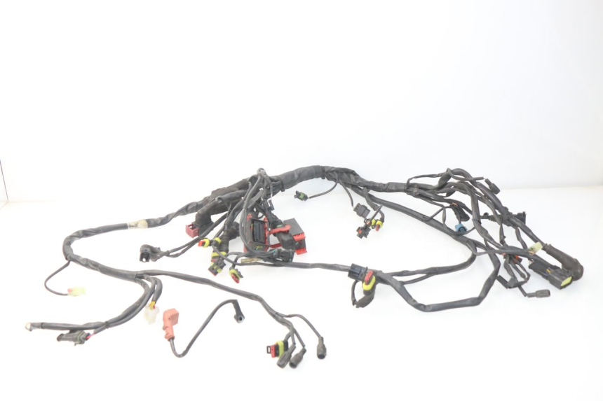 photo de WIRE HARNESS MV AGUSTA BRUTALE R WALLY 910 (2008 - 2008)