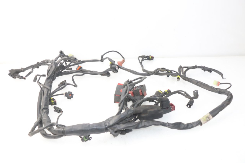 photo de WIRE HARNESS MV AGUSTA BRUTALE R WALLY 910 (2008 - 2008)