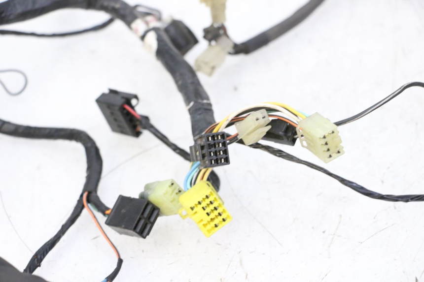 photo de WIRING HARNESS SUZUKI BURGMAN 125 (2007 - 2014)